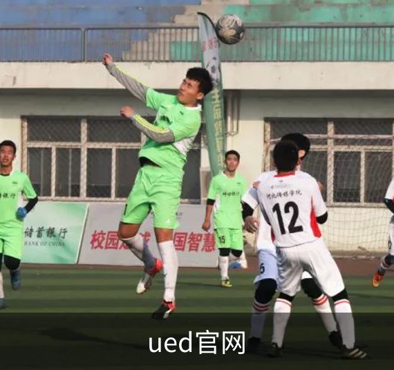 了解ued官网